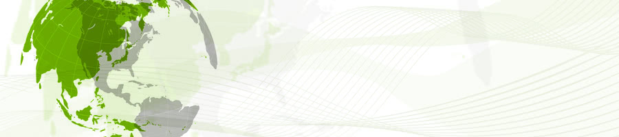 �����̔䖾�����o�ϊw�̎��_���猻��Љ�̊i���ɂ��Č��